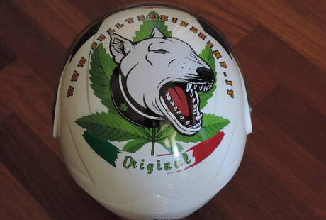 Bullterrierhemp™ Grow Shop Seregno - Negozio di Cannabis Online - Canapa Legale a Domicilio in 1H