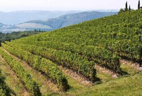 Villa Morago Azienda Viticola Wine Shop