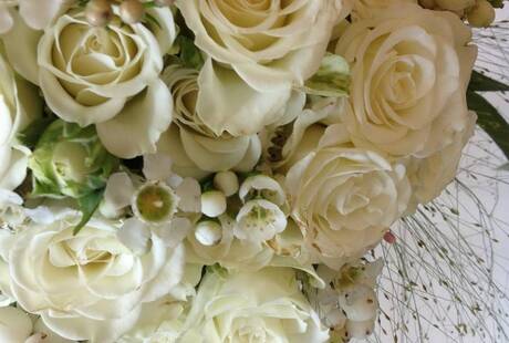 Nicola Dartè Flowers & Co.